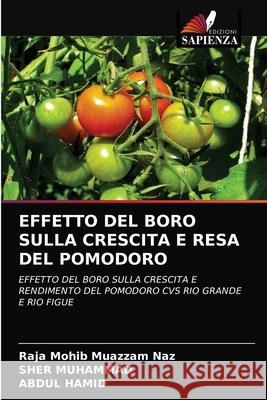 Effetto del Boro Sulla Crescita E Resa del Pomodoro Raja Mohi Sher Muhammad Abdul Hamid 9786202838801 Edizioni Sapienza - książka