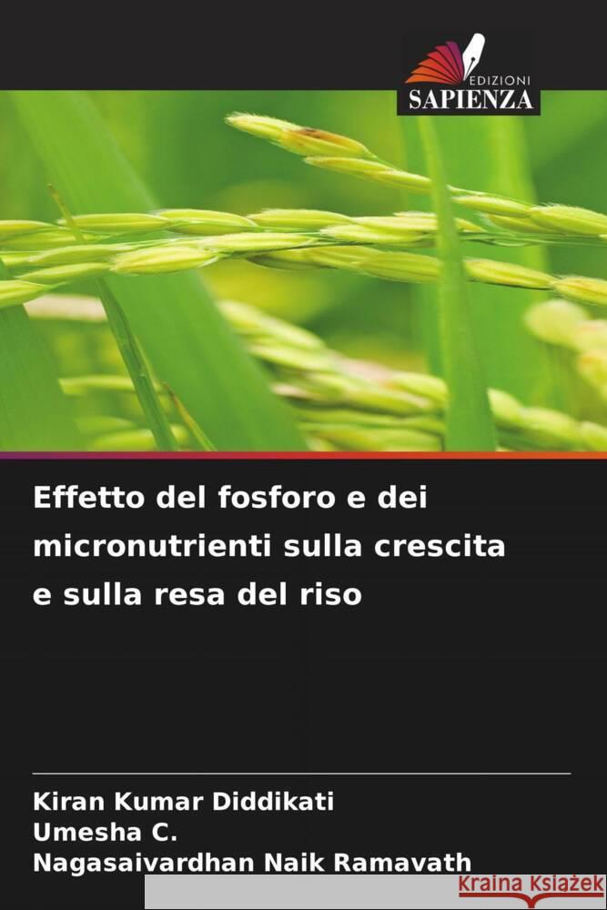 Effetto del fosforo e dei micronutrienti sulla crescita e sulla resa del riso Kiran Kumar Diddikati Umesha C Nagasaivardhan Naik Ramavath 9786206934615 Edizioni Sapienza - książka