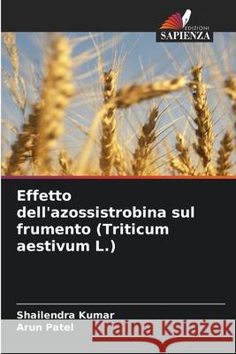 Effetto dell'azossistrobina sul frumento (Triticum aestivum L.) Shailendra Kumar Arun Patel 9786207570560 Edizioni Sapienza - książka