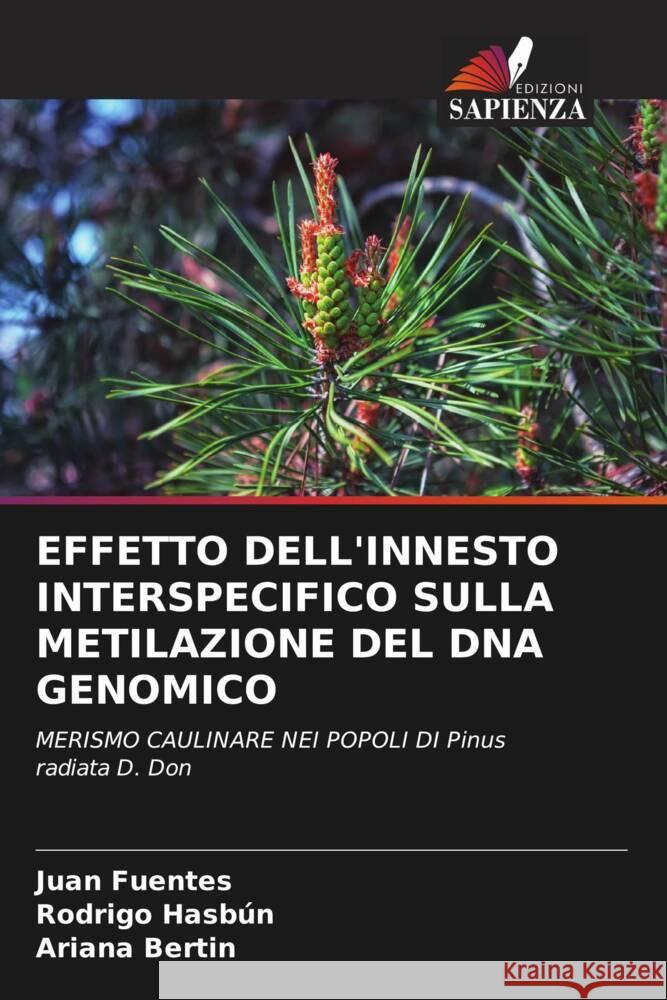 EFFETTO DELL'INNESTO INTERSPECIFICO SULLA METILAZIONE DEL DNA GENOMICO Fuentes, Juan, Hasbún, Rodrigo, Bertin, Ariana 9786204554501 Edizioni Sapienza - książka