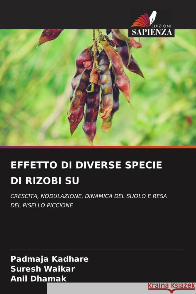 EFFETTO DI DIVERSE SPECIE DI RIZOBI SU Kadhare, Padmaja, Waikar, Suresh, Dhamak, Anil 9786206529941 Edizioni Sapienza - książka