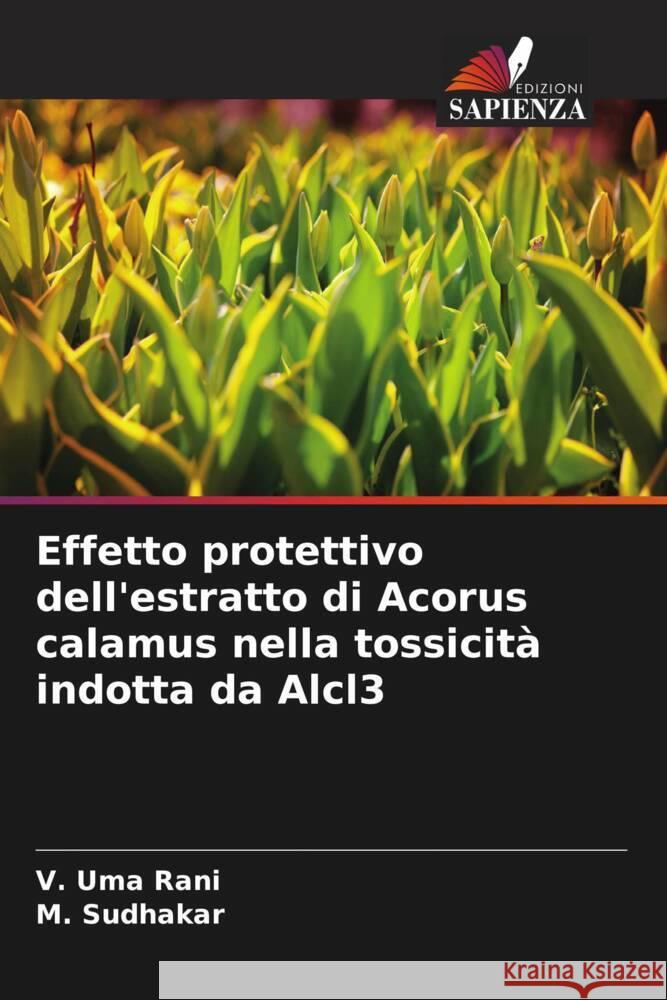 Effetto protettivo dell'estratto di Acorus calamus nella tossicità indotta da Alcl3 Uma Rani, V., Sudhakar, M. 9786204785691 Edizioni Sapienza - książka