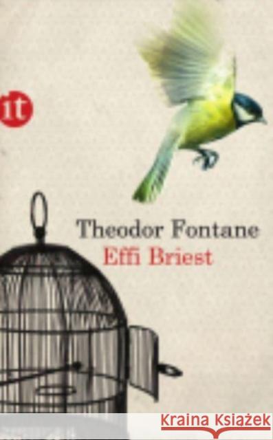 Effi Briest : Roman Fontane, Theodor 9783458357261 Insel, Frankfurt - książka