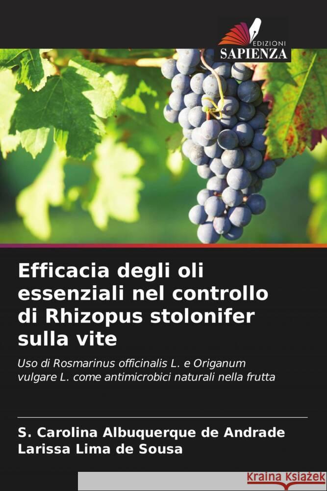 Efficacia degli oli essenziali nel controllo di Rhizopus stolonifer sulla vite Albuquerque de Andrade, S. Carolina, Lima de Sousa, Larissa 9786208217747 Edizioni Sapienza - książka