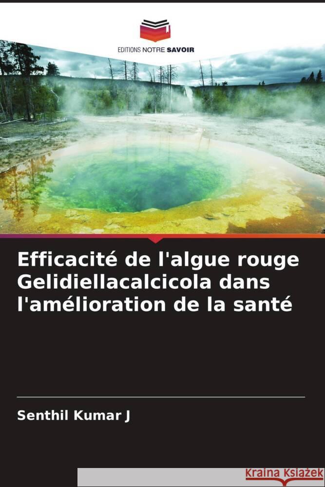 Efficacité de l'algue rouge Gelidiellacalcicola dans l'amélioration de la santé Kumar J, Senthil 9786204350516 Editions Notre Savoir - książka