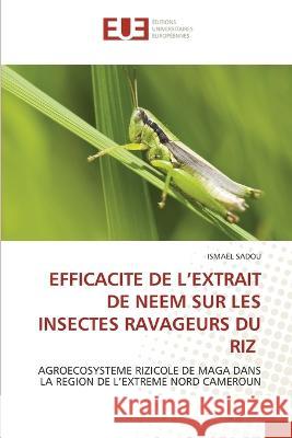 Efficacite de l'Extrait de Neem Sur Les Insectes Ravageurs Du Riz Ismael Sadou   9786203441925 International Book Market Service Ltd - książka