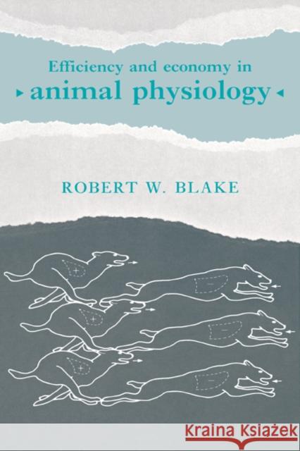 Efficiency and Economy in Animal Physiology Robert W. Blake (University of British Columbia, Vancouver) 9780521400664 Cambridge University Press - książka