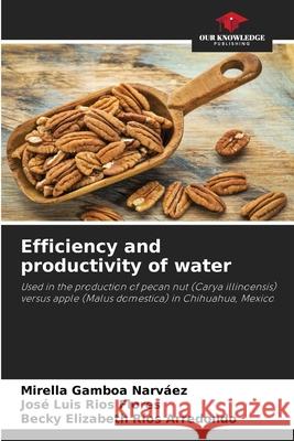 Efficiency and productivity of water Mirella Gambo Jos? Luis R?o Becky Elizabeth R?o 9786207675357 Our Knowledge Publishing - książka