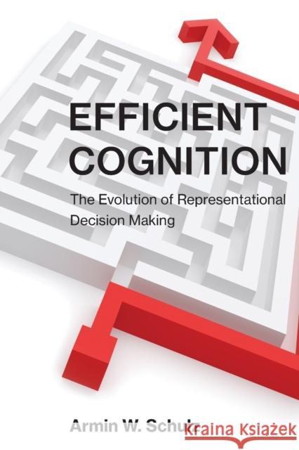 Efficient Cognition: The Evolution of Representational Decision Making Armin W. Schulz 9780262546737 MIT Press - książka