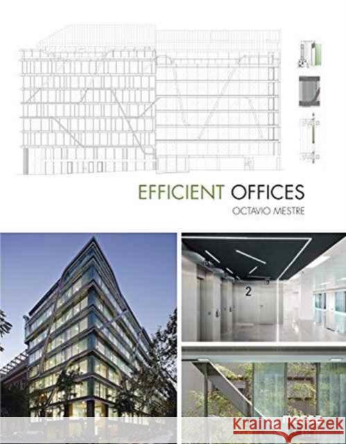 Efficient Offices  Mestre, Octavio 9788416500253  - książka