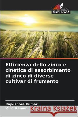 Efficienza dello zinco e cinetica di assorbimento di zinco di diverse cultivar di frumento Rajkishore Kumar V. P. Ramani 9786207576890 Edizioni Sapienza - książka