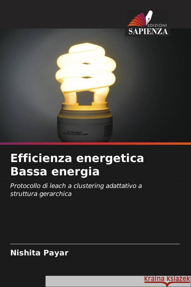 Efficienza energetica Bassa energia Payar, Nishita 9786205193228 Edizioni Sapienza - książka