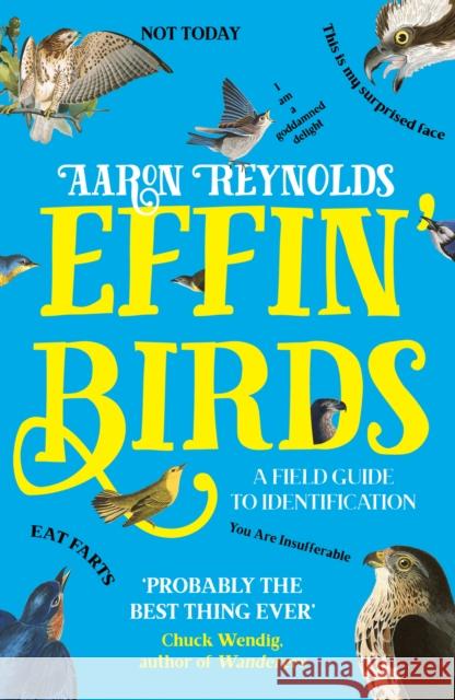 Effin' Birds: A Field Guide to Identification Aaron Reynolds 9781800180437 Unbound - książka