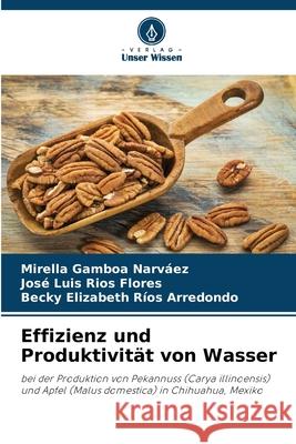 Effizienz und Produktivit?t von Wasser Mirella Gambo Jos? Luis R?o Becky Elizabeth R?o 9786207675340 Verlag Unser Wissen - książka