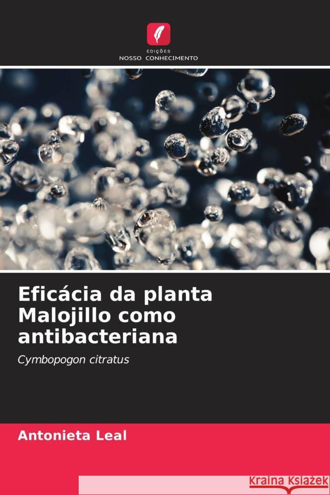 Eficácia da planta Malojillo como antibacteriana Leal, Antonieta 9786206455271 Edições Nosso Conhecimento - książka