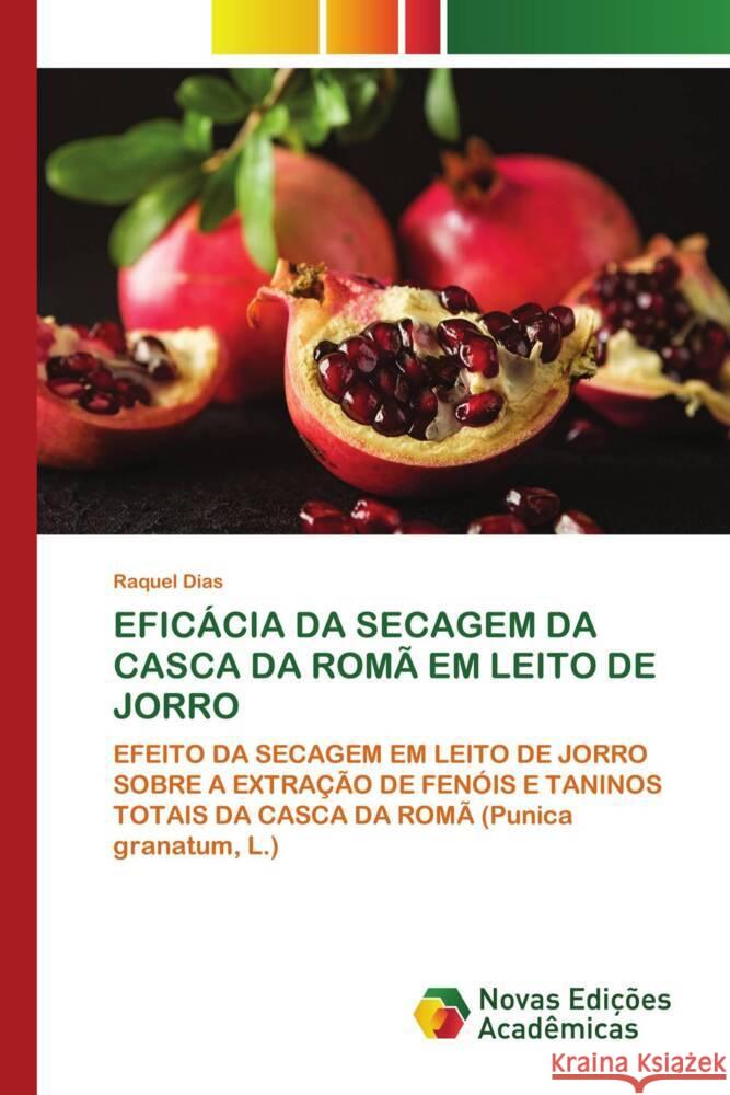 Efic?cia Da Secagem Da Casca Da Rom? Em Leito de Jorro Raquel Dias 9786206756903 Novas Edicoes Academicas - książka