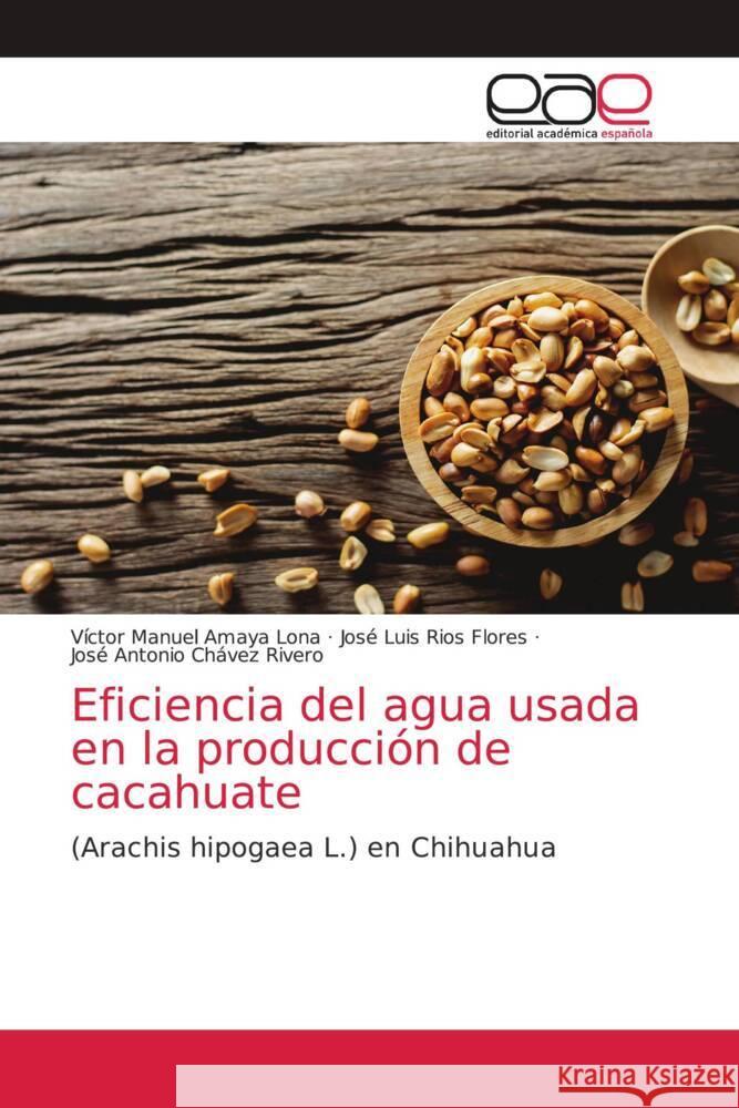 Eficiencia del agua usada en la producción de cacahuate Amaya Lona, Víctor Manuel 9786203035537 KS OmniScriptum Publishing - książka