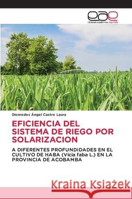 Eficiencia del Sistema de Riego Por Solarizacion Diomedes Angel Castro Laura   9786202103305 Editorial Academica Espanola - książka