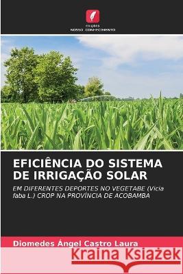 Eficiencia Do Sistema de Irrigacao Solar Diomedes Angel Castro Laura   9786205559192 Edicoes Nosso Conhecimento - książka