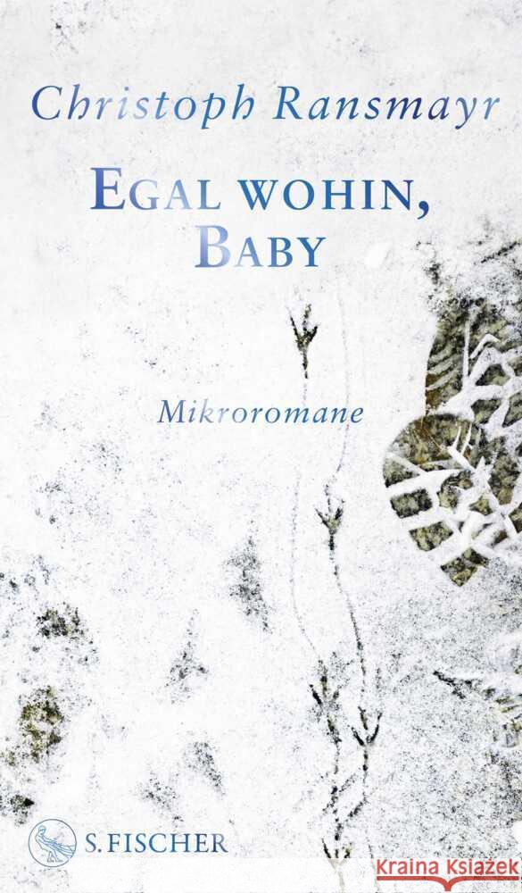 Egal wohin, Baby Ransmayr, Christoph 9783103976618 S. Fischer Verlag GmbH - książka