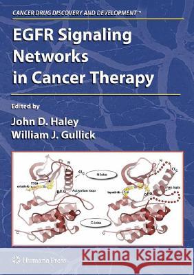 EGFR Signaling Networks in Cancer Therapy  9781588299482 Humana Press - książka