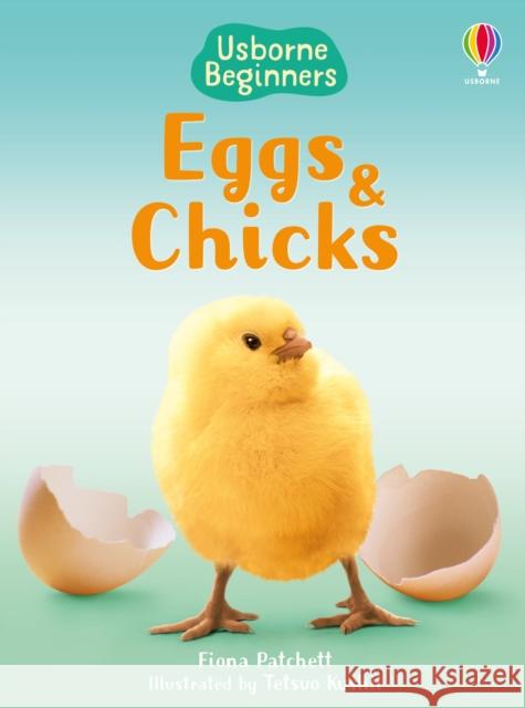 Eggs and Chicks   9780746074527 Usborne Publishing Ltd - książka