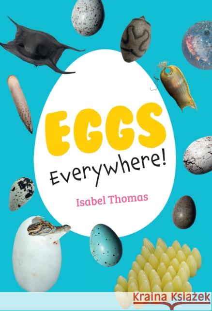 Eggs Everywhere!: Fluency 6 Isabel Thomas 9780008681166 HarperCollins Publishers - książka