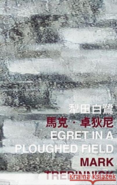 Egret in a Ploughed Field Mark Tredinnick 9789882370463 Chinese University Press - książka