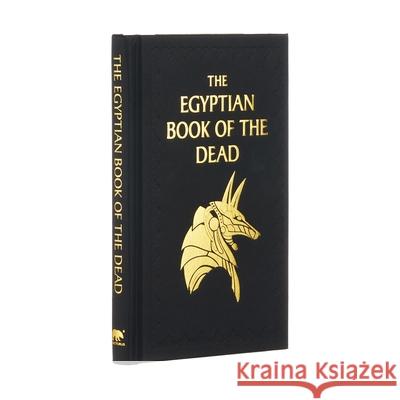 Egyptian Book of the Dead Ea Walli Arcturus Publishing 9781398809628 Sirius Entertainment - książka