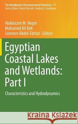 Egyptian Coastal Lakes and Wetlands: Part I: Characteristics and Hydrodynamics Negm, Abdelazim M. 9783319935898 Springer - książka