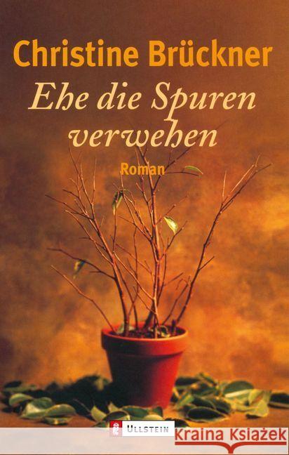 Ehe die Spuren verwehen : Roman Brückner, Christine   9783548224367 Ullstein TB - książka