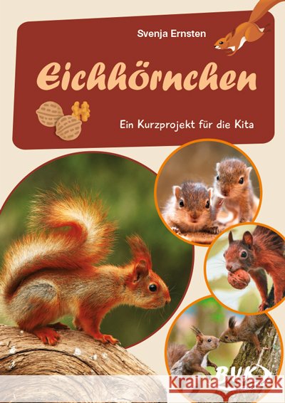 Eichhörnchen Ernsten, Svenja 9783965201842 BVK Buch Verlag Kempen - książka