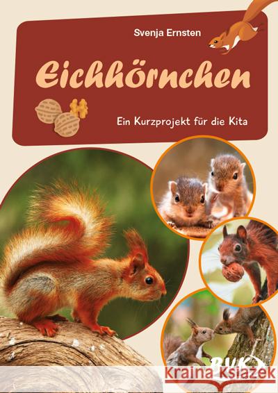 Eichhörnchen Ernsten, Svenja 9783965201842 BVK Buch Verlag Kempen - książka
