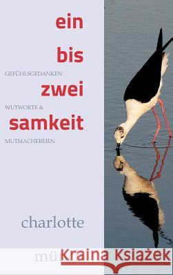 Ein- bis zweisamkeit Münch, Charlotte 9783743929821 Tredition Gmbh - książka