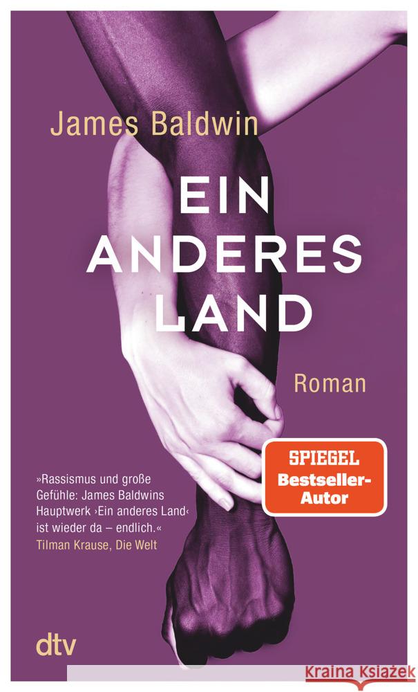 Ein anderes Land Baldwin, James 9783423148634 DTV - książka