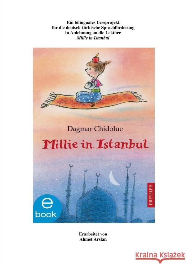 Ein bilinguales Leseprojekt  für die deutsch-türkische Sprachförderung in Anlehnung an die Lektüre 