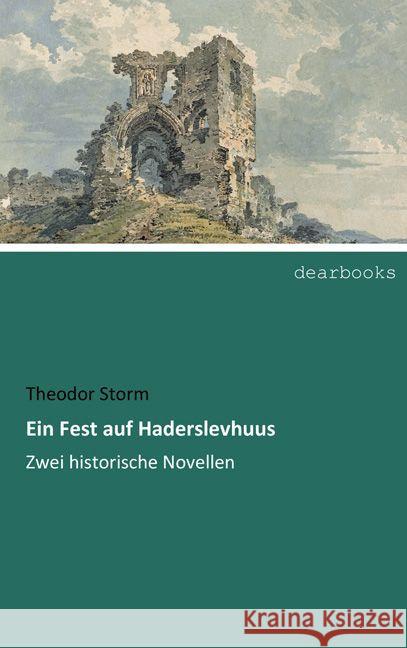 Ein Fest auf Haderslevhuus : Zwei historische Novellen Storm, Theodor 9783954550555 dearbooks - książka