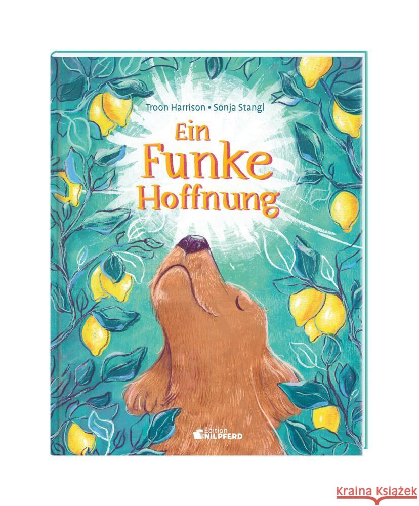 Ein Funke Hoffnung Harrison, Troon 9783707453232 G & G Verlagsgesellschaft - książka