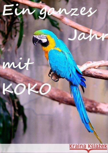 Ein ganzes Jahr mit Koko : Ein Papagei entdeckt die Welt Fee, Rosi 9783745008777 epubli - książka