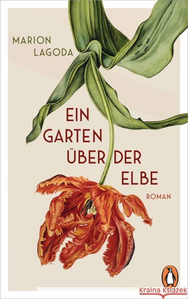 Ein Garten über der Elbe Lagoda, Marion 9783328111030 Penguin Verlag München - książka