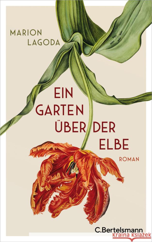 Ein Garten über der Elbe Lagoda, Marion 9783570104019 C. Bertelsmann - książka