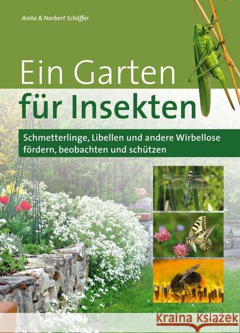 Ein Garten für Insekten : Schmetterlinge, Libellen und andere Wirbellose fördern, beobachten und schützen Schäffer, Anita; Schäffer, Norbert 9783891048245 Aula - książka