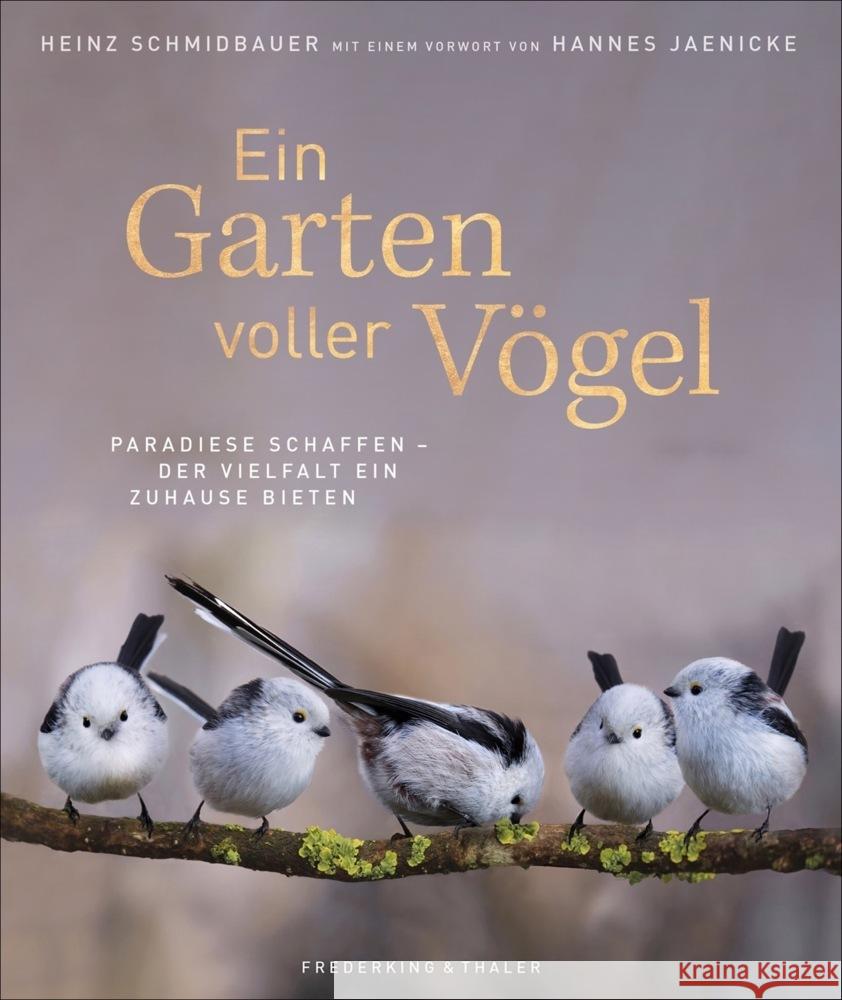 Ein Garten voller Vögel Schmidbauer, Heinz 9783954163410 Frederking & Thaler - książka