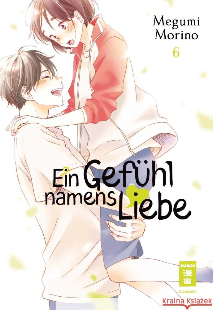 Ein Gefühl namens Liebe. Bd.6 Morino, Megumi 9783770441891 Egmont Manga - książka