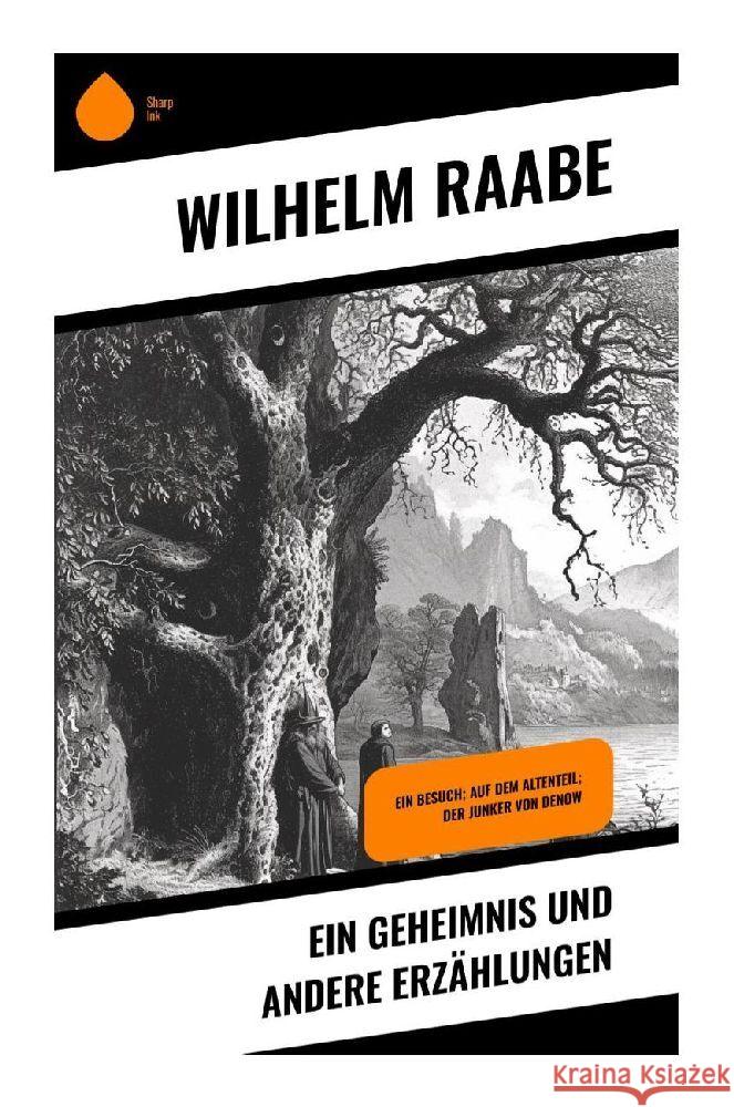 Ein Geheimnis und andere Erzählungen Raabe, Wilhelm 9788028353094 Sharp Ink - książka