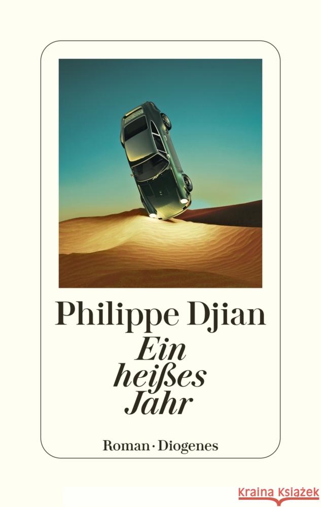 Ein heißes Jahr Djian, Philippe 9783257072495 Diogenes - książka