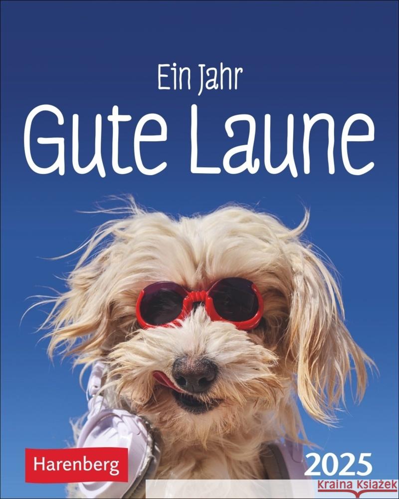 Ein Jahr gute Laune Mini-Geschenkkalender 2025 Braukmüller, Beatrix 9783840034497 Harenberg - książka