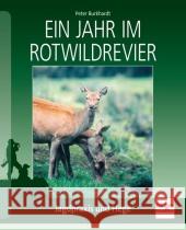 Ein Jahr im Rotwildrevier : Jagdpraxis und Hege Burkhardt, Peter 9783275017928 Müller Rüschlikon - książka