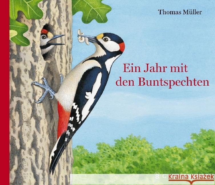 Ein Jahr mit den Buntspechten Müller, Thomas 9783836959179 Gerstenberg Verlag - książka