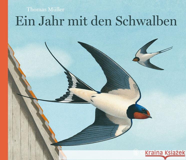 Ein Jahr mit den Schwalben Müller, Thomas 9783836954525 Gerstenberg Verlag - książka